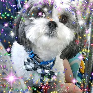 Meet your Posher, Lori beth